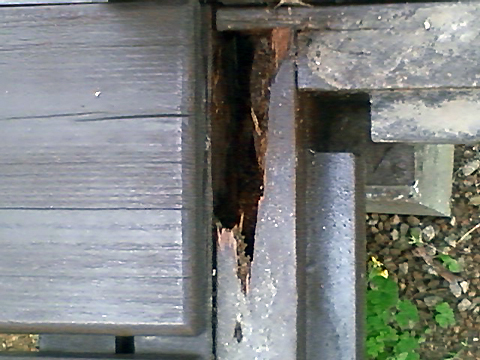 PHOTO6