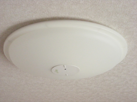 Photo11