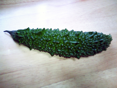 PHOTO2