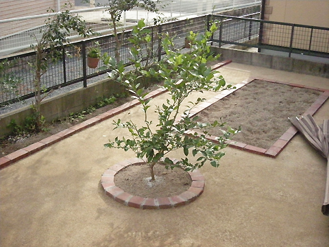 PHOTO5