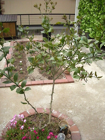 PHOTO2