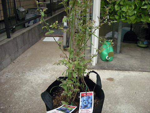 PHOTO5