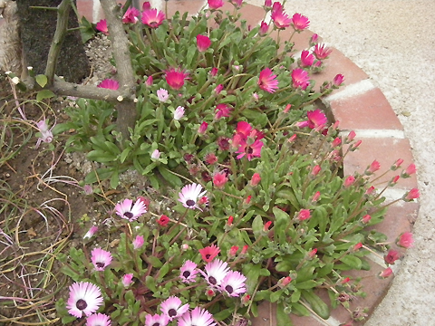 PHOTO6