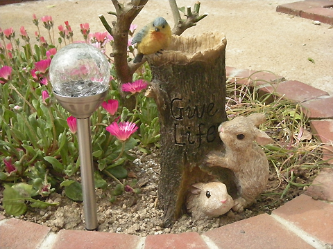 PHOTO8