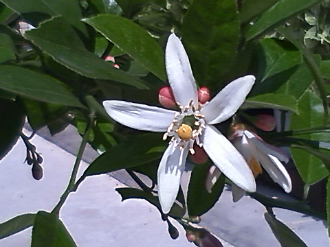Photo1