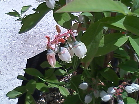 Photo3
