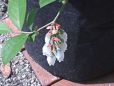 Photo4