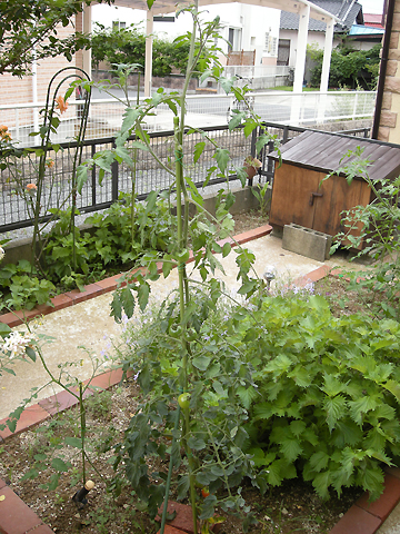 Photo5