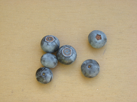 PHOTO2