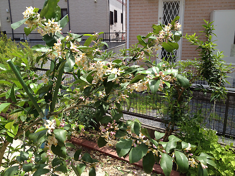 PHOTO6