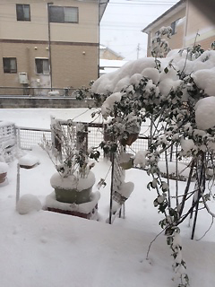 PHOTO2