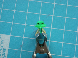 Carrys_MS_027.JPG