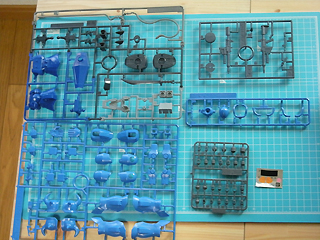 MS07B_003.JPG